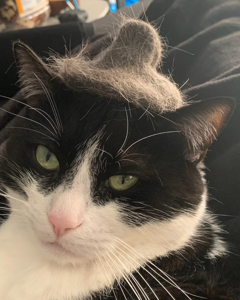Simba-la-mascotte